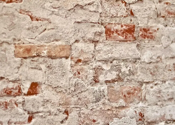 Monísimo En El Corazón De